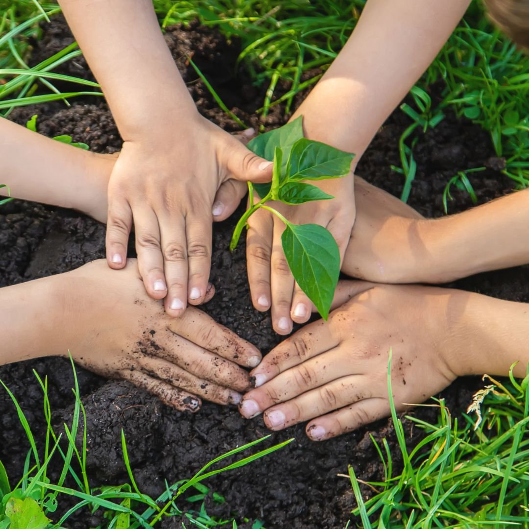 a group of hands holding a plant