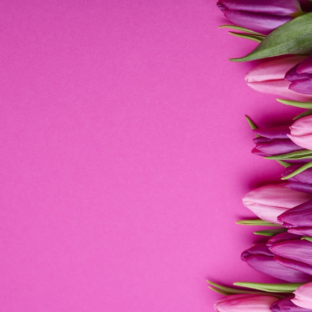 Blumenzwiebeln im Spätsommer pflanzen – So blüht dein Frühling jetzt schon auf!