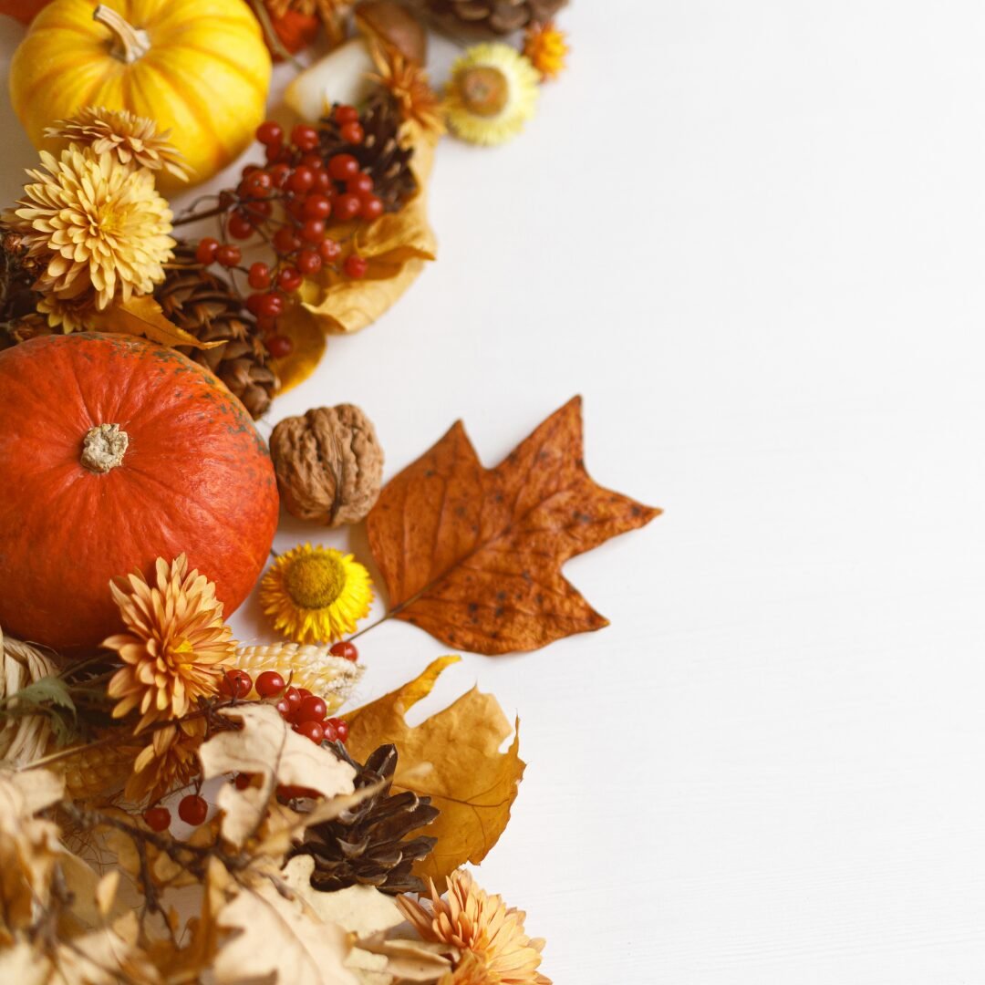 🍂 So gestaltest du deinen Garten herbstlich – Farben, Pflanzen und Dekotipps